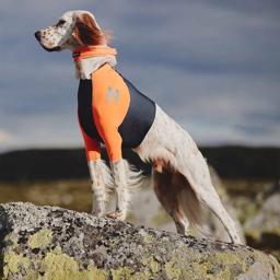Non-stop Dogwear Protector T-shirt Til Hunden For Beskyttelse & Synlighed
